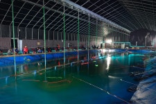 츄릅 > (출판단지낚시터) 경기도 파주 북부권 하우스낚시터 개장소식! : 낚시사랑