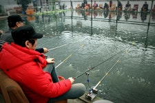 츄릅 > (설동낚시터) 명실상부 역돔낚시터의 메카! 최고의 역돔전용터 설동낚시터를 다녀오며 : 낚시사랑