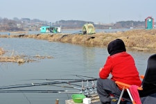 츄릅 > 천안시의 명물! 토종붕어터의 자존심 마정낚시터를 다녀오며... : 낚시사랑