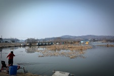 츄릅 > 천안시의 명물! 토종붕어터의 자존심 마정낚시터를 다녀오며... : 낚시사랑
