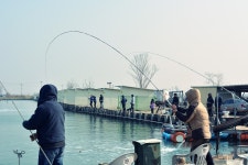 츄릅 > (정성바다낚시터) 오래동안 기다리셨습니다..인천광역시에 위치한 바다낚시터의 원조! : 낚시사랑