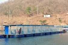 츄릅 > (신수낚시터) 충남 아산권에 위치한 대표적인 계곡소류지! 봄철 마릿수 대박행진!_ : 낚시사랑