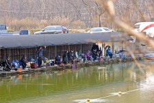 봉림지기 유료낚시터 > 3월19일 노지 개장합니다 : 낚시사랑