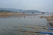 츄릅 > (안골낚시터) 아산시의 대표적인 토종붕어터의 메카! 연일 마릿수를 토해내는곳! : 낚시사랑