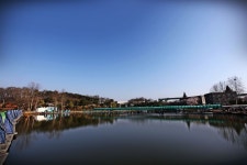 노아주 > 고잔낚시터 하얀 꽃잎이 눈꽃되어 내리는 곳/노아주의 낚시여행 : 낚시사랑