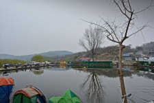 츄릅 > 안성 고삼월향낚시터 : 낚시사랑