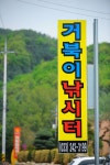 낚시사랑 > 의암호 거북이낚시터 : 낚시사랑
