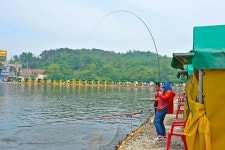 강호지락 > 서울바다낚시터 : 낚시사랑