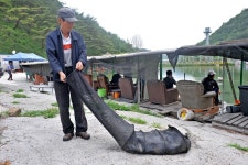 강호지락 > 어의곡 낚시터 : 낚시사랑