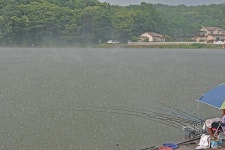 츄릅 > 경기도 안성 조일낚시터 : 낚시사랑