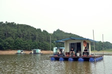 츄릅 > 초대박 행진~경기도 용인시 삼인낚시터 : 낚시사랑