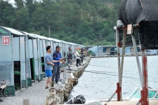 츄릅 > 경기도 안산시 단원구 독도바다낚시터 : 낚시사랑