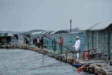 츄릅 > 경기도 안산시 단원구 독도바다낚시터 : 낚시사랑