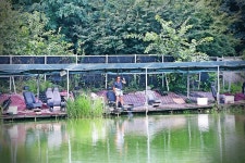 노아주 > 남양주 새말낚시터 붕어마을에서 힐링.../낚시세상 노아주의 초가을 낚시여행 : 낚시사랑