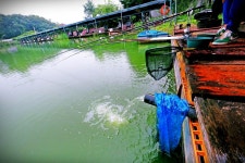 노아주 > 남양주 새말낚시터 붕어마을에서 힐링.../낚시세상 노아주의 초가을 낚시여행 : 낚시사랑