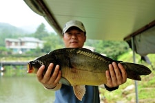 츄릅 > 경기도 광주시 도척면 추곡낚시터 : 낚시사랑