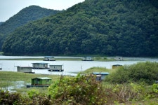 기파랑 > 미성집 송전지 - 낚시꾼이라면...... : 낚시사랑