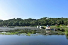 강호지락 > 항곡낚시터 : 낚시사랑