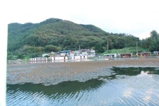 붕어도인 > 음성 차평지 //붕어도인 : 낚시사랑