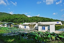 낚시사랑 > 음성 상곡지 : 낚시사랑