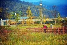 낚시사랑 > 의암호 원일낚시터 : 낚시사랑