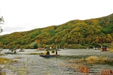 낚시사랑 > 춘천호 세월낚시터 : 낚시사랑