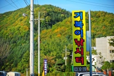낚시사랑 > 의암호 거북이낚시터 : 낚시사랑