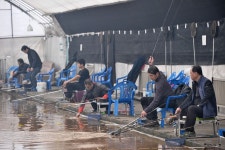 강호지락 > 봉림낚시터 : 낚시사랑