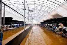 강호지락 > 봉림낚시터 : 낚시사랑