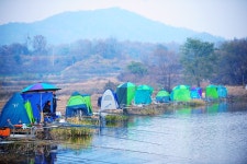 낚시사랑 > 음성 모란지 : 낚시사랑