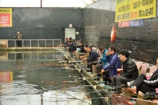 츄릅 > 경기도 용인시 처인구 동막낚시터(하우스) : 낚시사랑