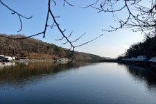 츄릅 > 경기도 용인시 처인구 동막낚시터(하우스) : 낚시사랑