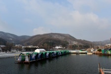 츄릅 > 경기도 용인시 처인구 상덕낚시터 : 낚시사랑