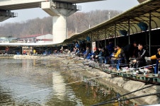 츄릅 > 경기도 남양주시 진건읍 배양리낚시터 : 낚시사랑