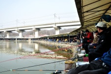 츄릅 > 경기도 남양주시 진건읍 배양리낚시터 : 낚시사랑