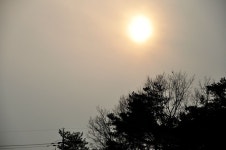 츄릅 > 경기도 남양주시 진건읍 배양리낚시터 : 낚시사랑