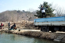 츄릅 > 경기도 연천군 군남면 전곡낚시터 : 낚시사랑