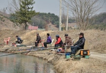 츄릅 > 경기도 연천군 군남면 전곡낚시터 : 낚시사랑
