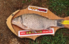 강호지락 > 내동지 : 낚시사랑