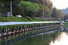 강호지락 > 한일낚시터 : 낚시사랑