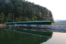 예담2 > 양평의 대명낚시터 재개장 소식 : 낚시사랑