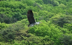 츄릅 > 배수기 특수조황! 경기도 광주 유정낚시터를 다녀오며... : 낚시사랑
