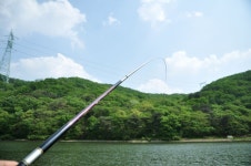 츄릅 > 배수기 특수조황! 경기도 광주 유정낚시터를 다녀오며... : 낚시사랑