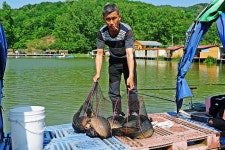 낚시사랑 > 음성 복상골낚시터 : 낚시사랑