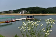 츄릅 > 용설호수 안성권의 대형 계곡저수지 용설낚시터의 갈수기 소식~ : 낚시사랑