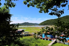 노아주 > 갈수기 호조황 소식! 송전지 관광집 좌대낚시터를 다녀오며... : 낚시사랑