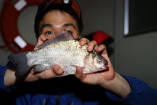 노아주 > 갈수기 호조황 소식! 송전지 관광집 좌대낚시터를 다녀오며... : 낚시사랑