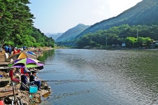 낚시사랑 > 제천 명암낚시터 : 낚시사랑