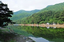 낚시사랑 > 제천 명암낚시터 : 낚시사랑