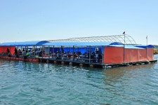 강호지락 바다낚시조황 > 즐거운 가족낚시 한성바다좌대 : 낚시사랑